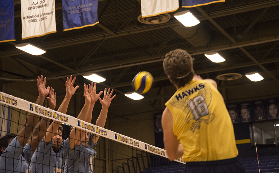 MEN'S VOLLEYBALL MAKES FINAL CUTS