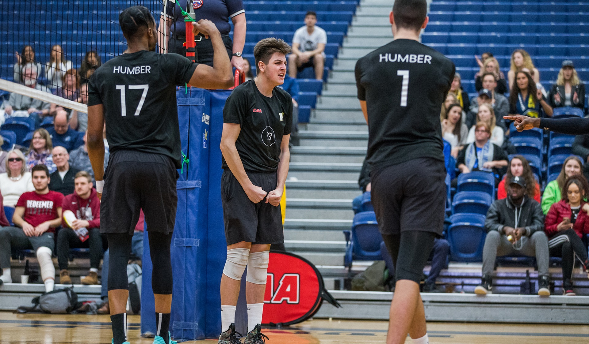 No. 5 HUMBER ADVANCES TO FINALS WITH WIN OVER NIAGARA; EARNS NATIONALS BERTH