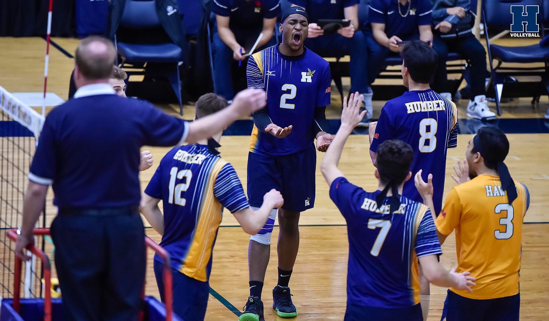 No. 2 Men's Volleyball Extends Win Streak With Sweep of Sheridan