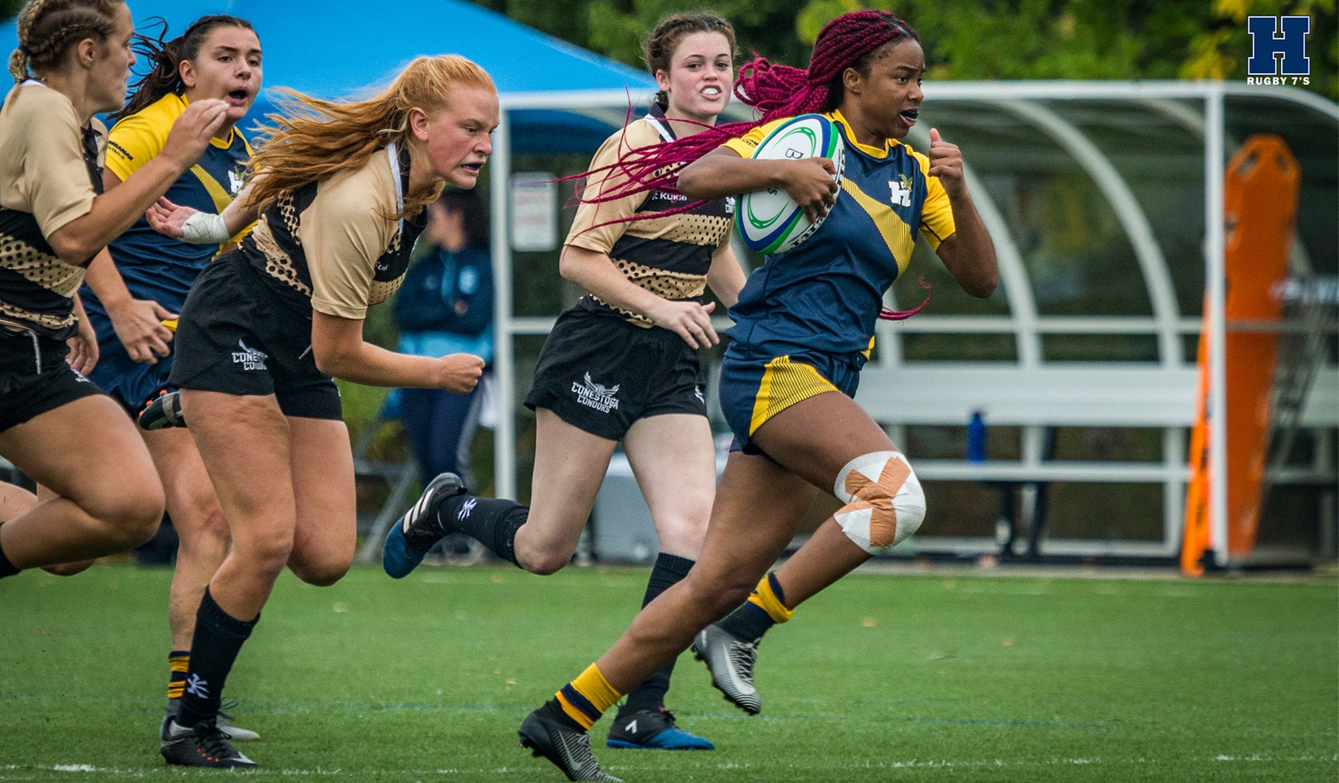 Another Tournament Sweep for Rugby Sevens
