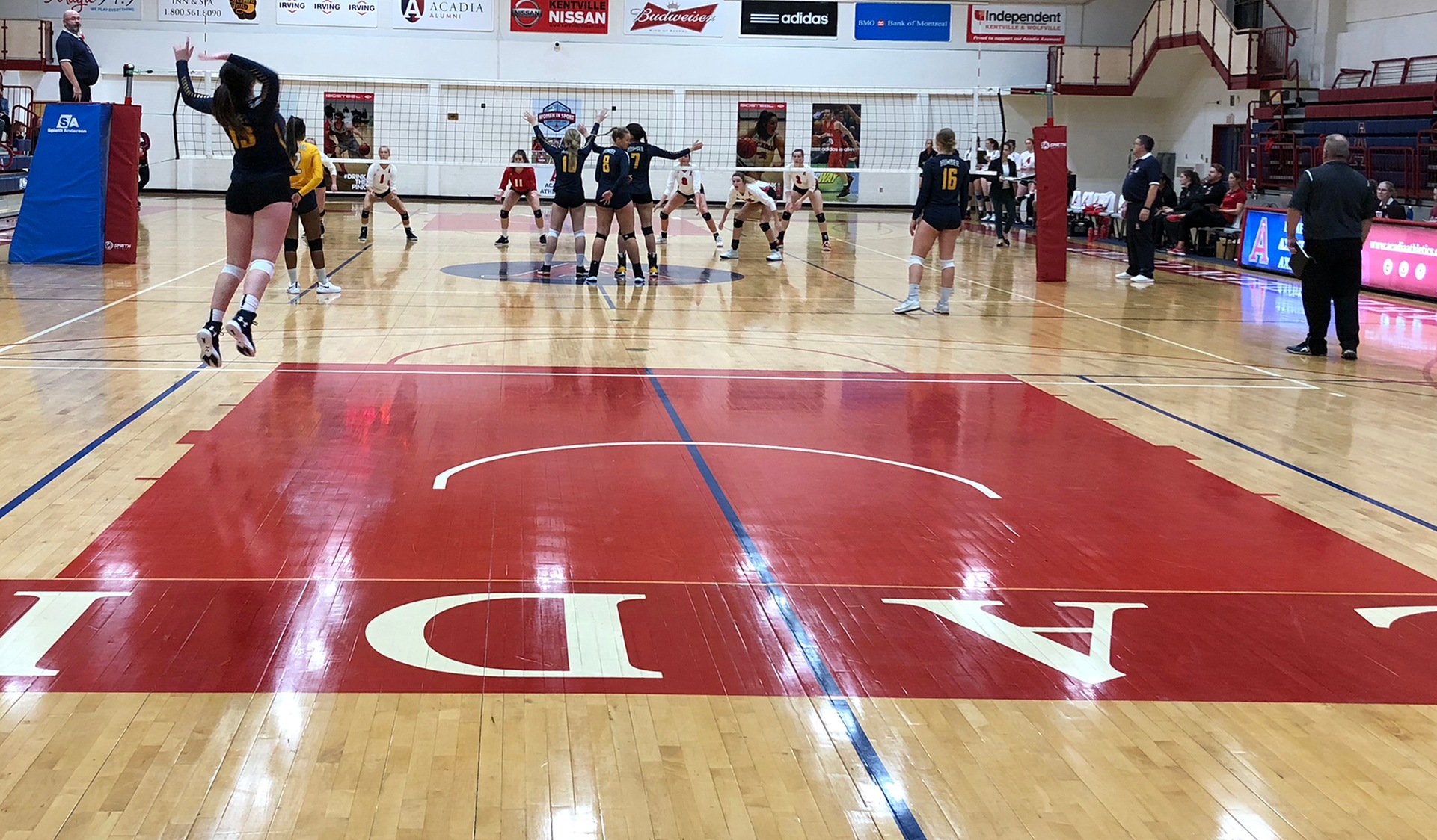 WEARY HAWKS DROP 3-0 MATCH TO ACADIA AS EAST COAST SWING CONTINUES