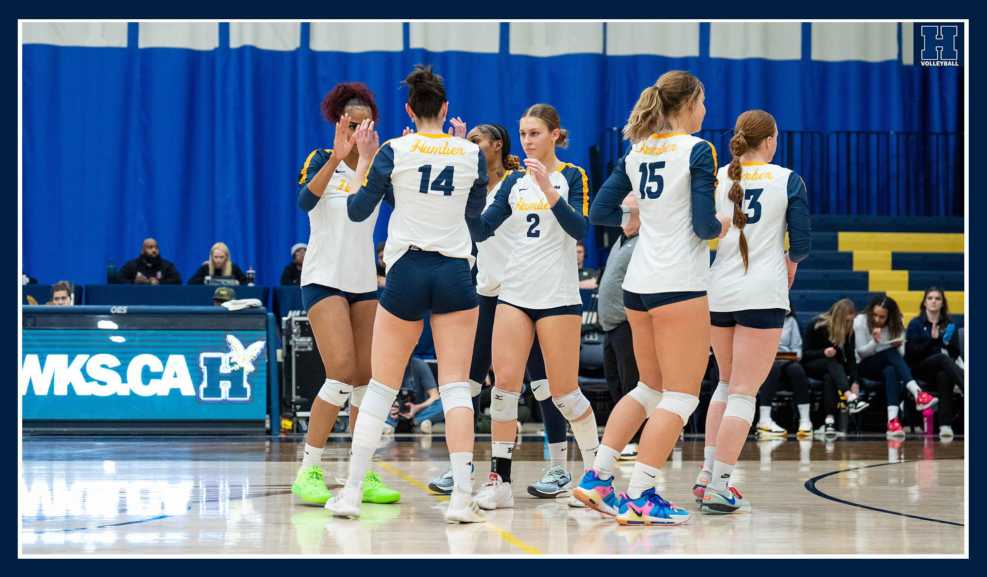 No. 3 Women's Volleyball sweeps Sheridan to remain undefeated