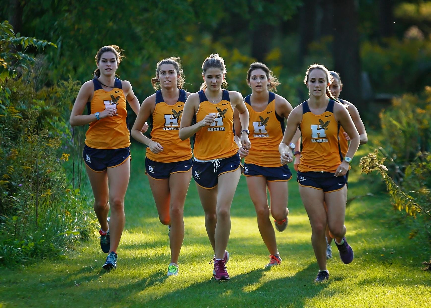 CROSS COUNTRY TRYOUT DATES RELEASED