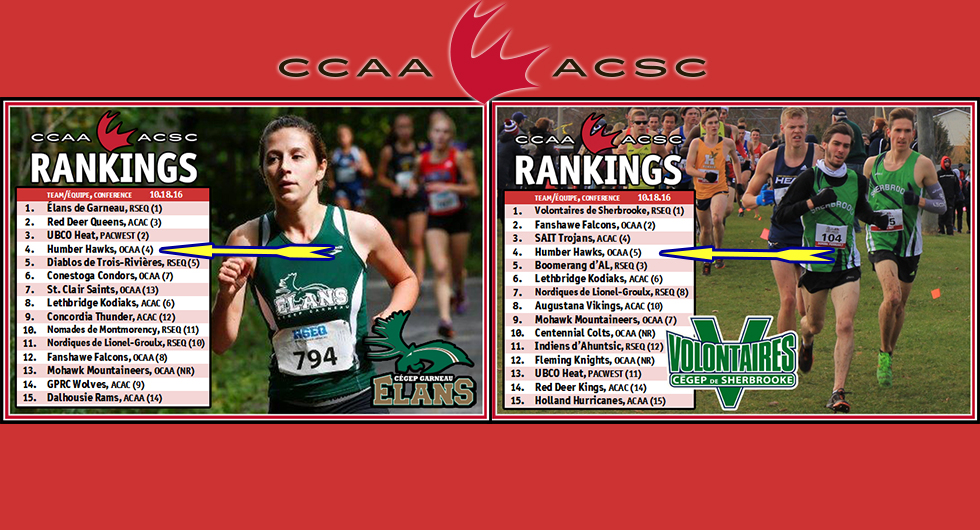 CROSS COUNTRY TEAMS BOTH AT NUMBER FOUR IN CCAA POLL