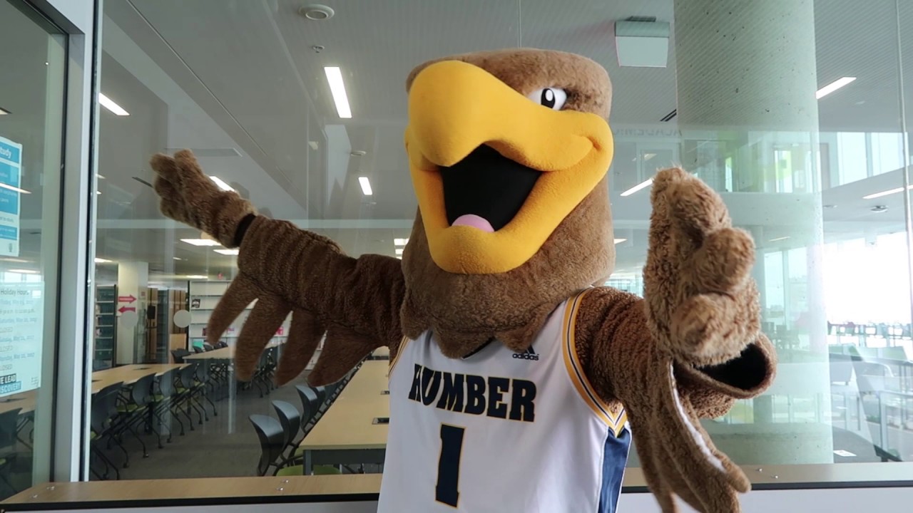 HAWKS SOAR IN THE CLASSROOM AS 53 STUDENT-ATHLETES ACHIEVE HONOURS