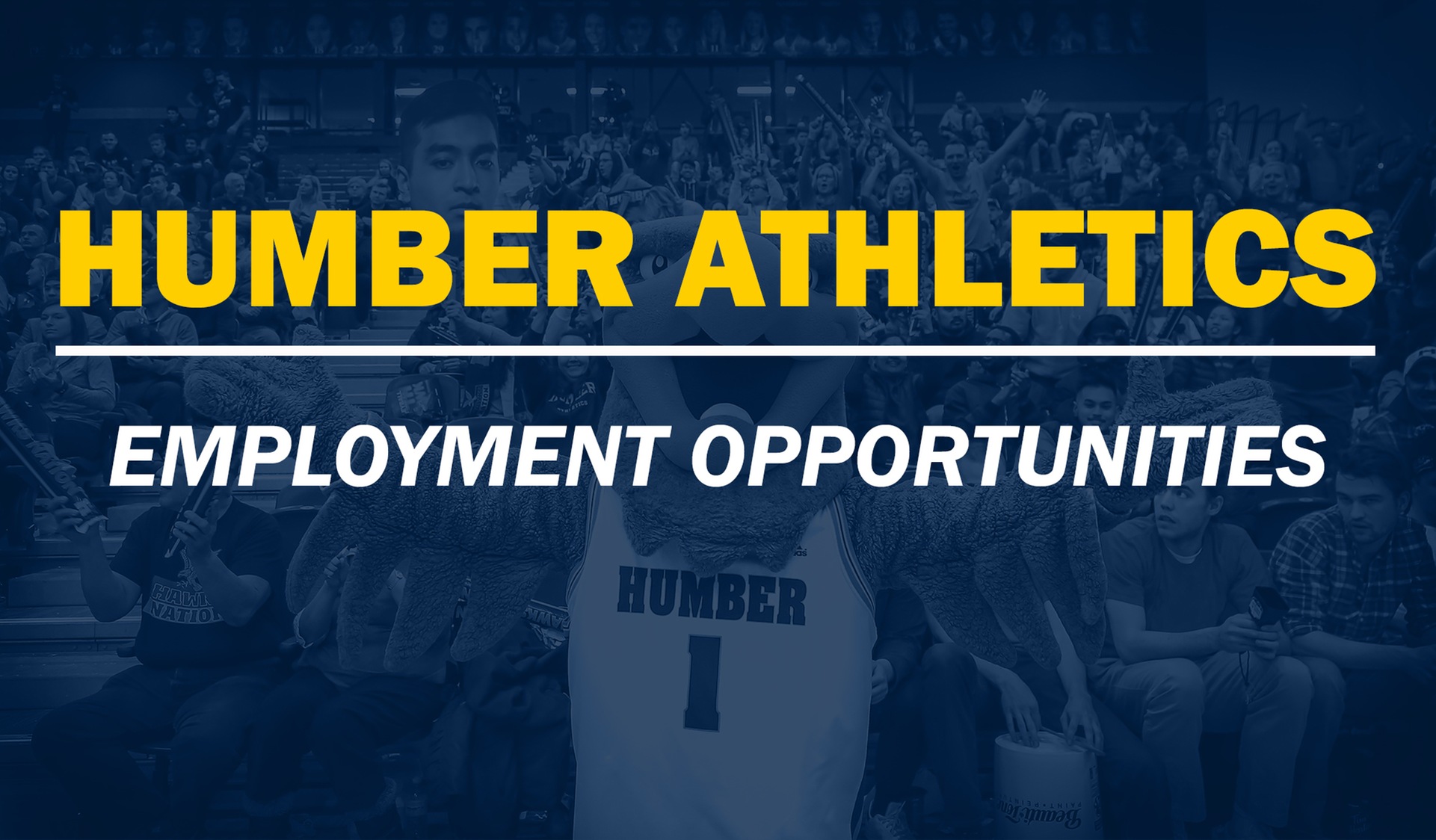 Humber Athletics Employment Opportunities