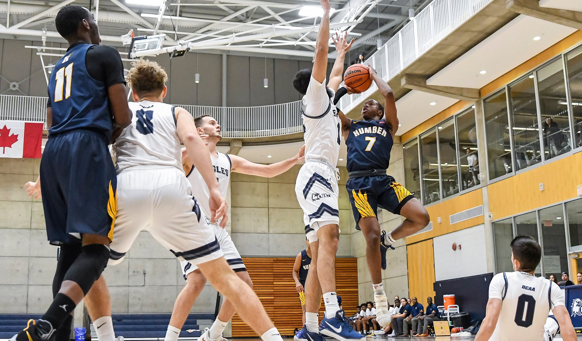 CASCART'S 29 POINTS LIFTS No. 4 HUMBER PAST UTM, 91-77