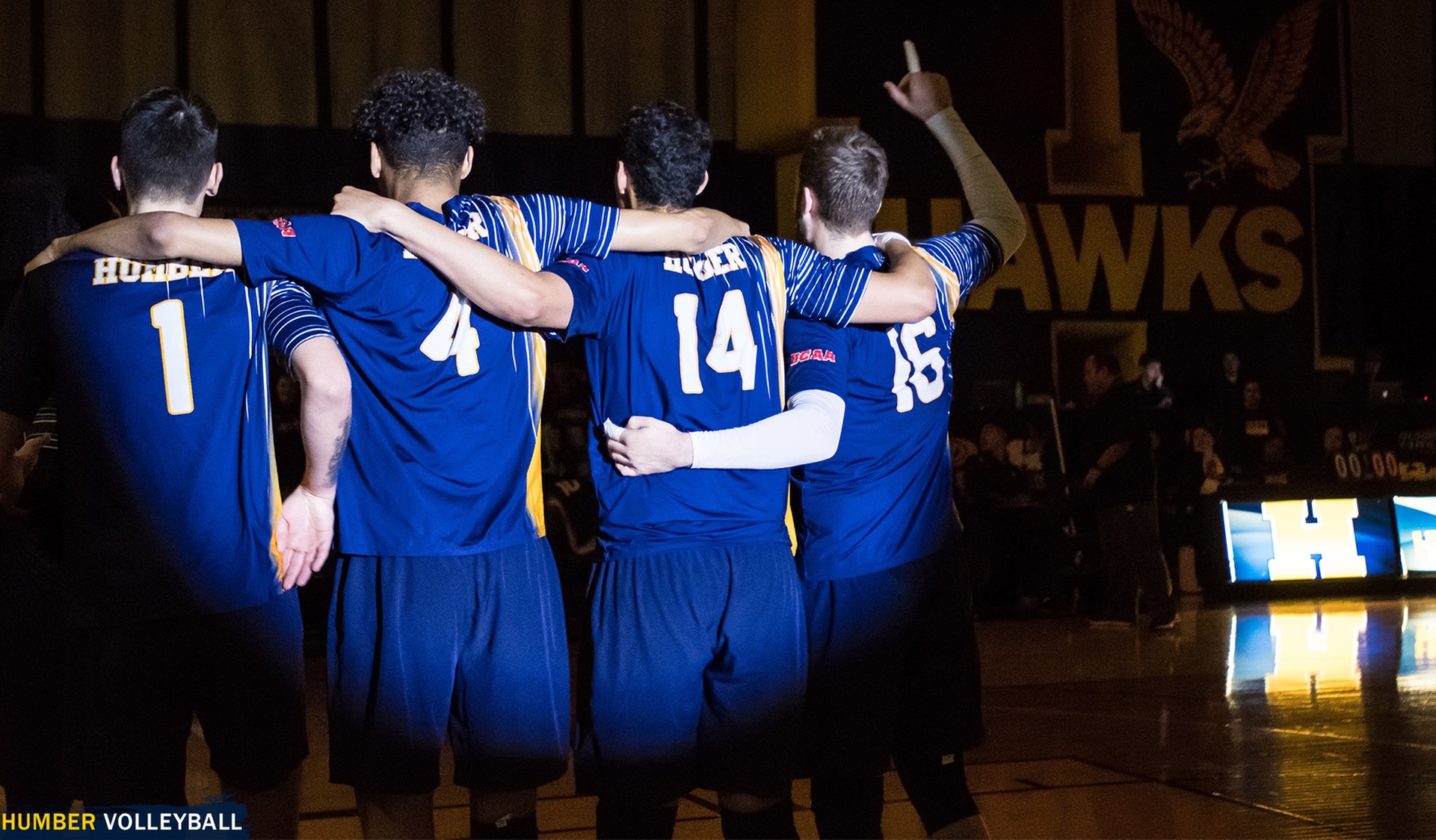 Men's Volleyball Release Open Tryout Dates