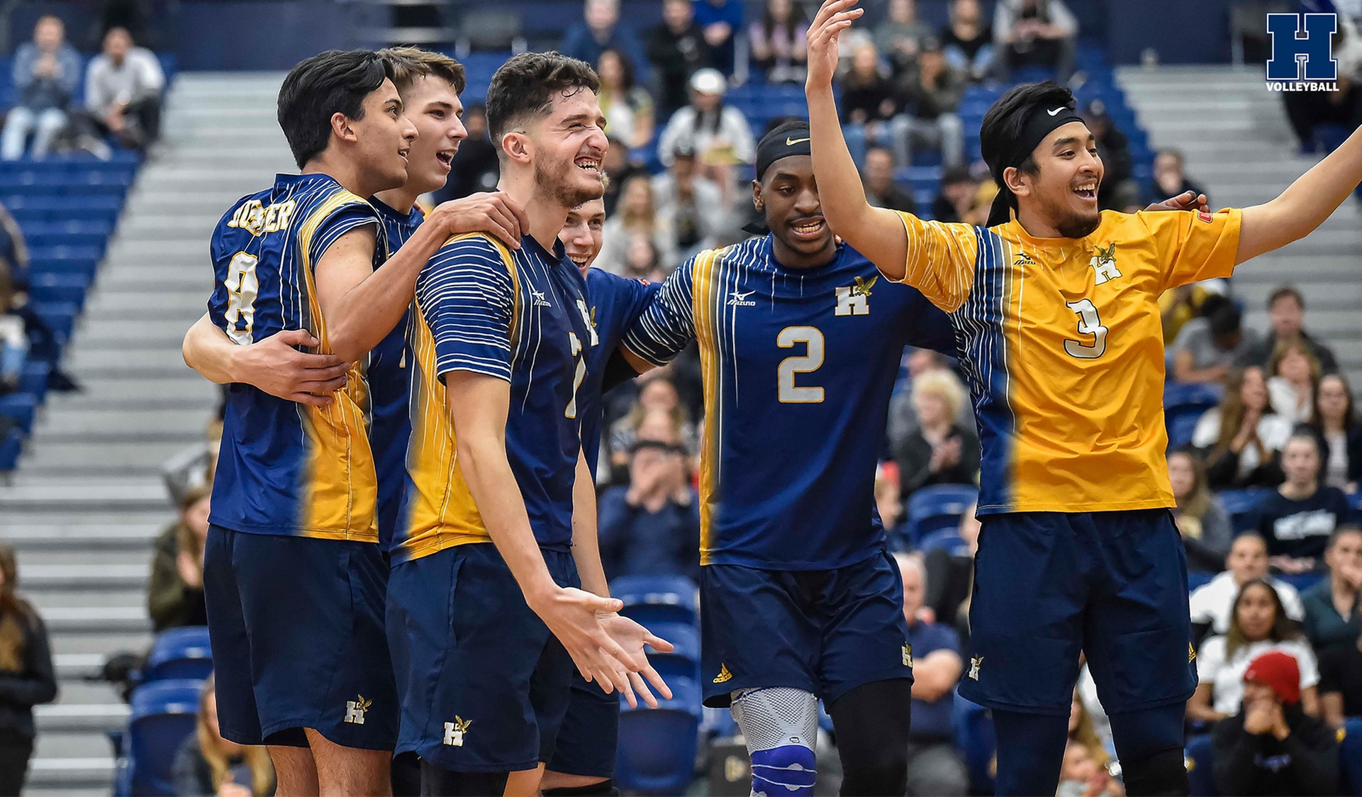 No. 2 Men's Volleyball Sweeps Defending National Champions