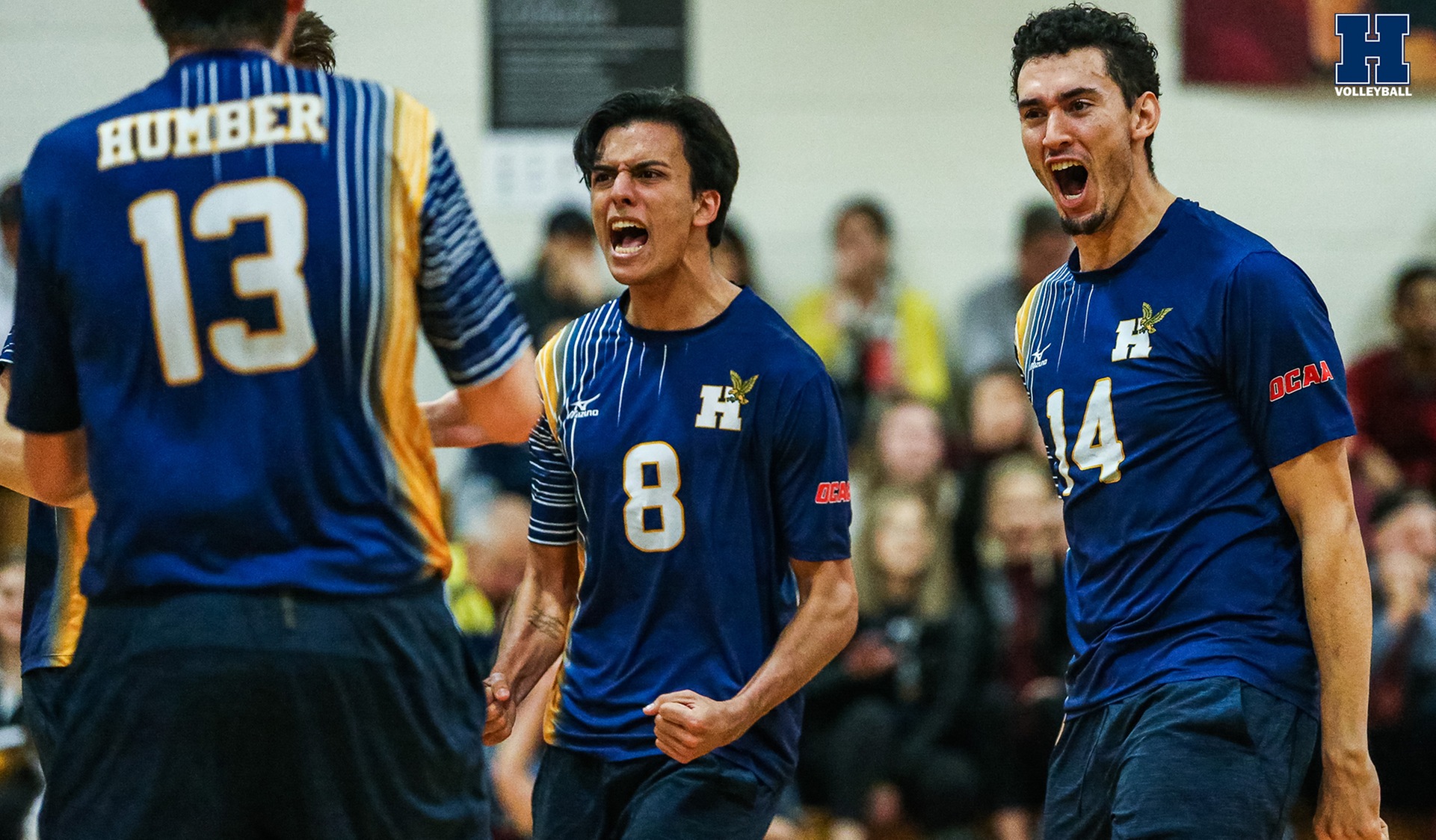 No. 1 Men's Volleyball Finishes First Half Undefeated