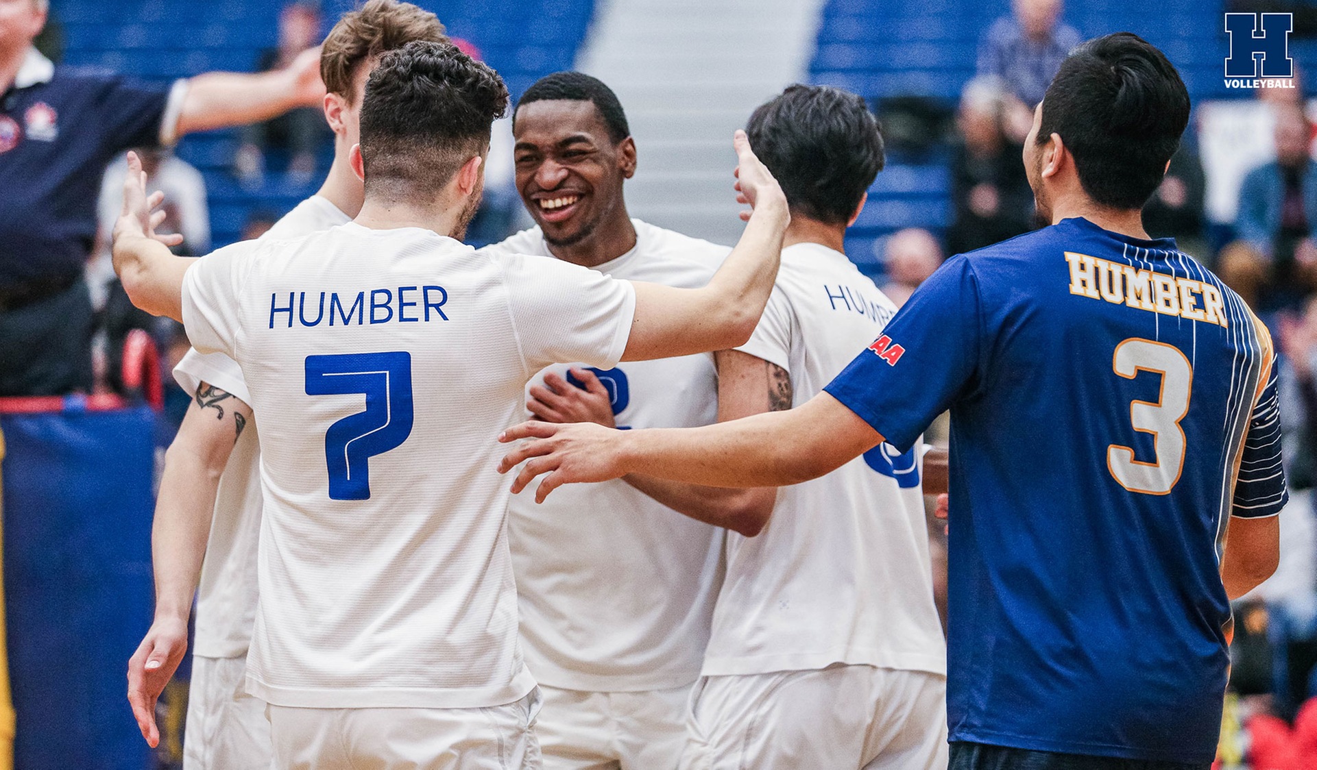 Top-Ranked Men's Volleyball Sweeps Georgian, Books Ticket to Nationals