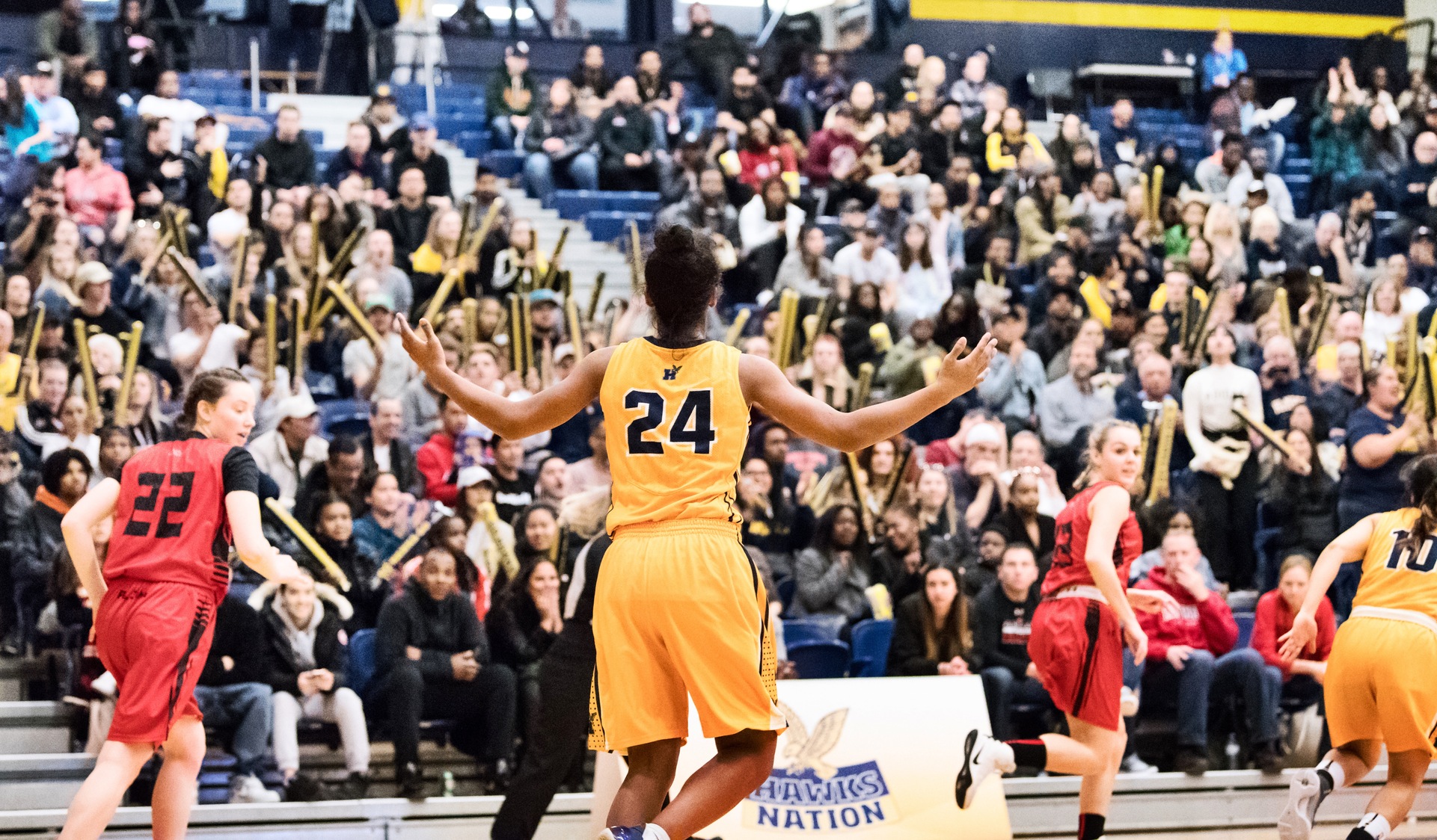 YEAR IN REVIEW: UNDEFEATED HAWKS ROLL TO OCAA & CCAA GOLD