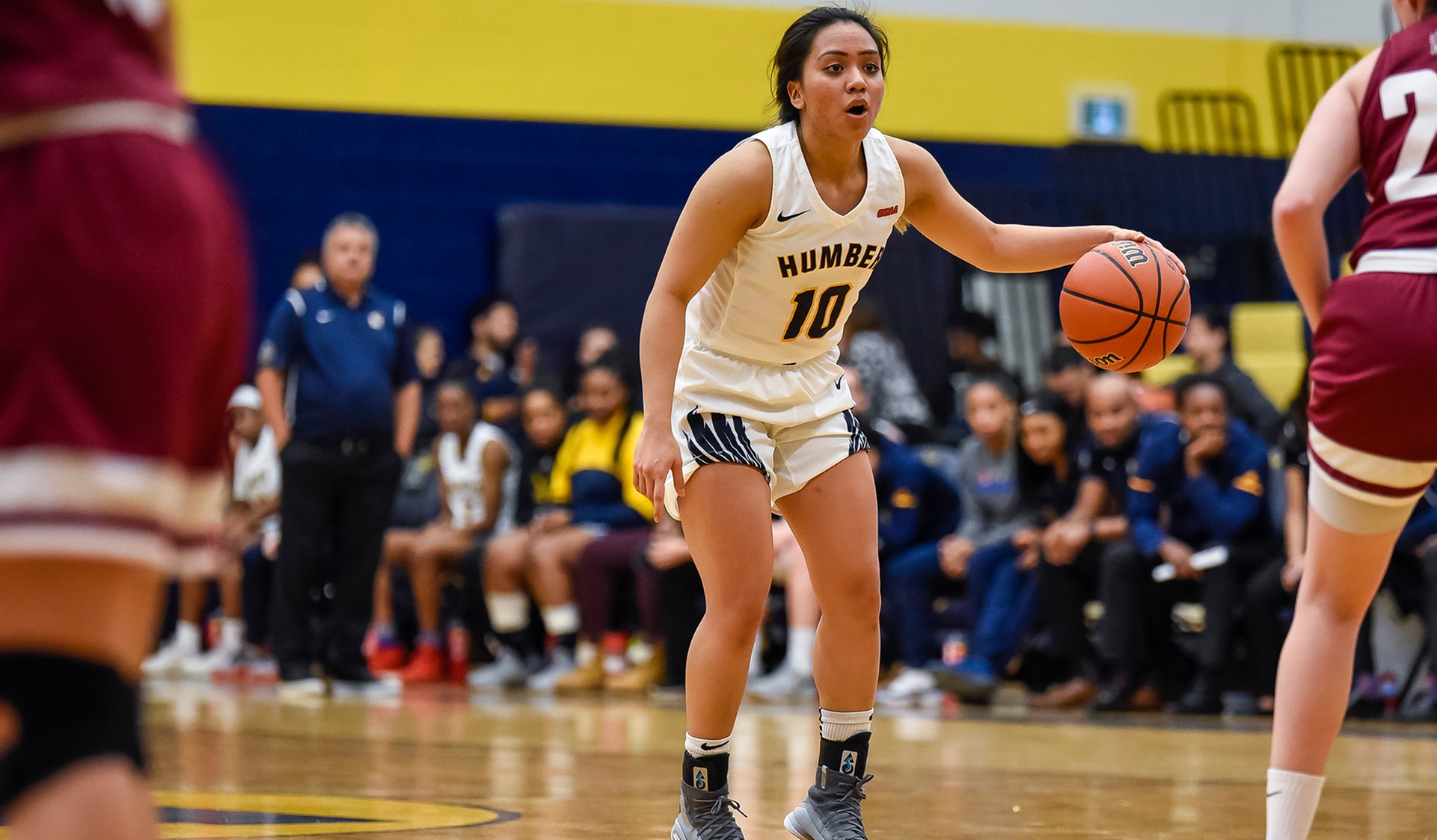 No. 11 WOMEN'S BASKETBALL HITS THE ROAD FOR SAULT