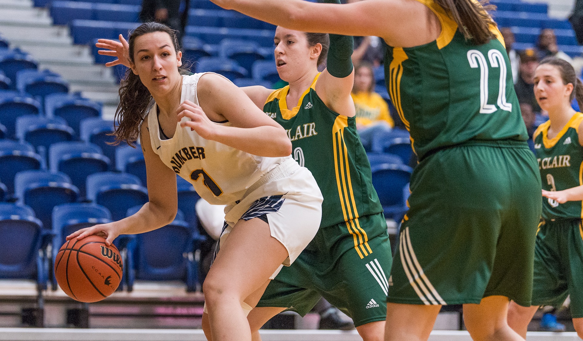 MEADOWS' CAREER-HIGH LIFTS No. 12 HUMBER PAST ST. CLAIR, 84-66