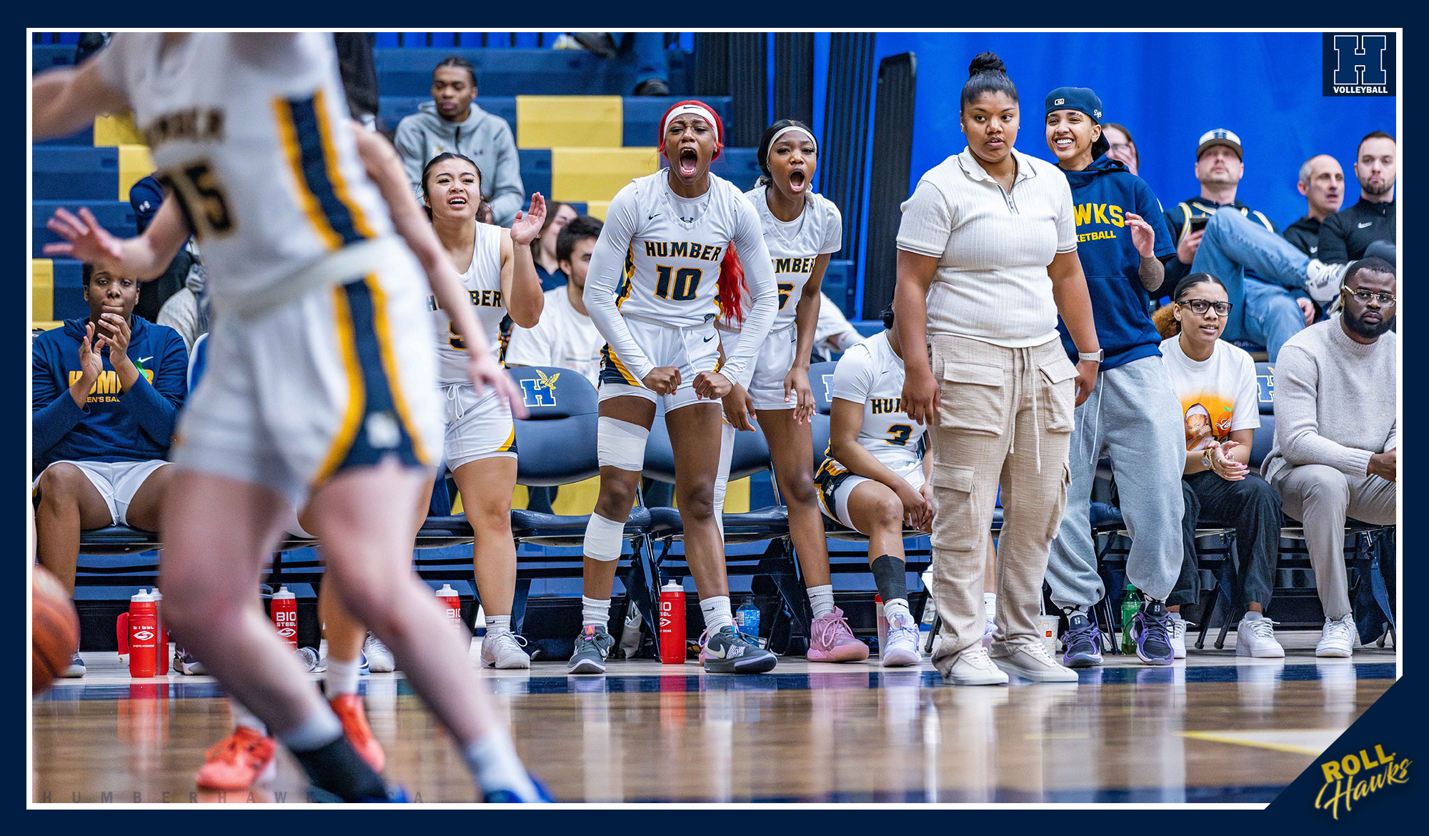 No. 12 Women's Basketball rolls George Brown to open the postseason