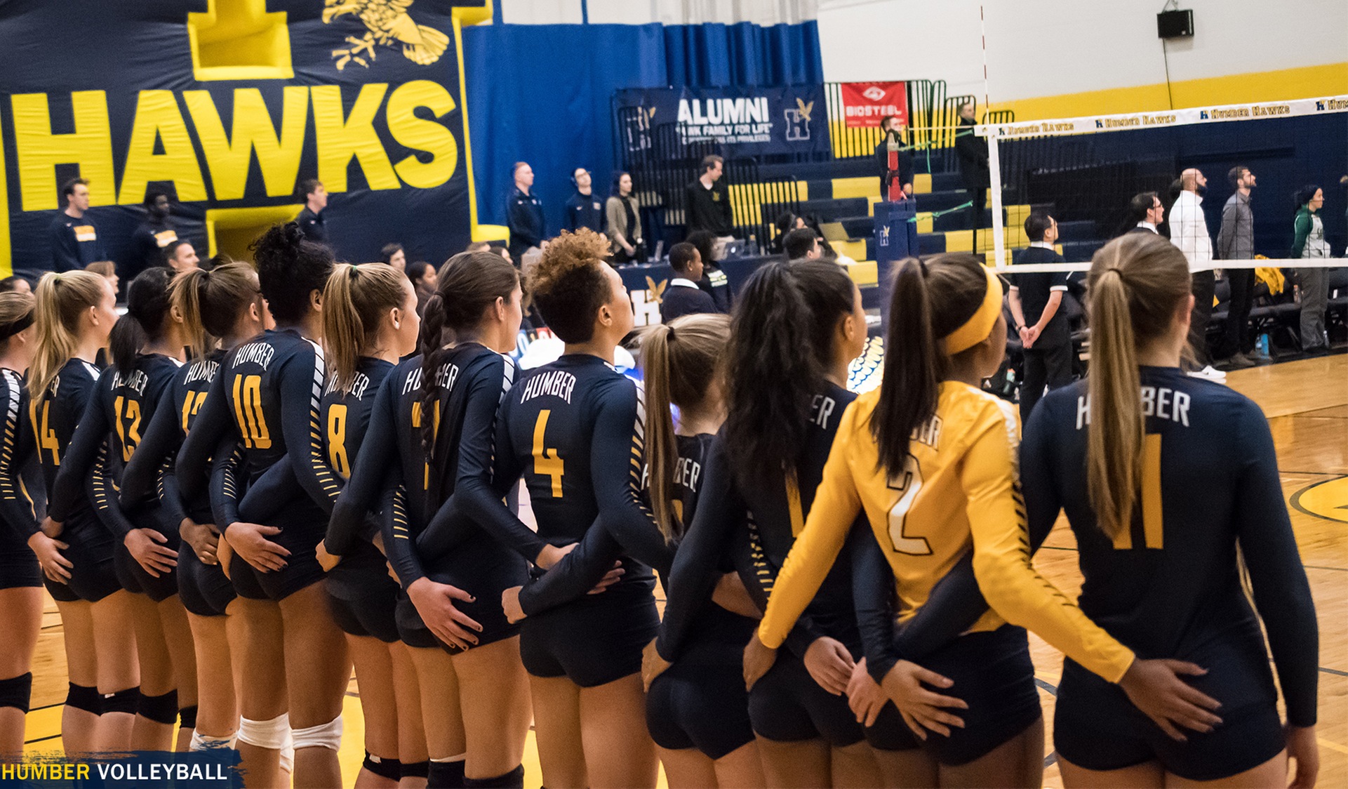 Women's Volleyball Release Open Tryout Dates