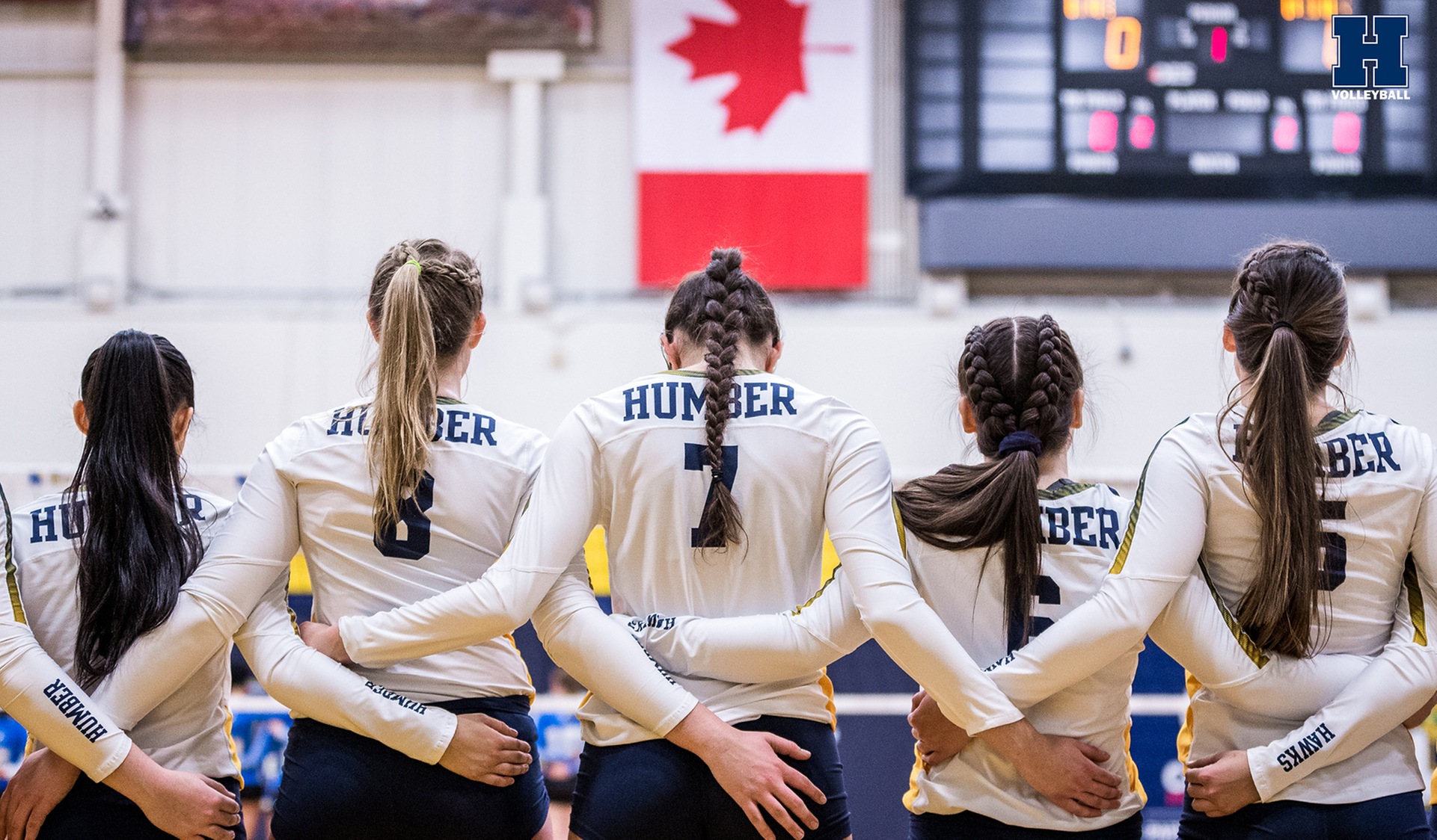 Season Preview: 2019 Women's Volleyball