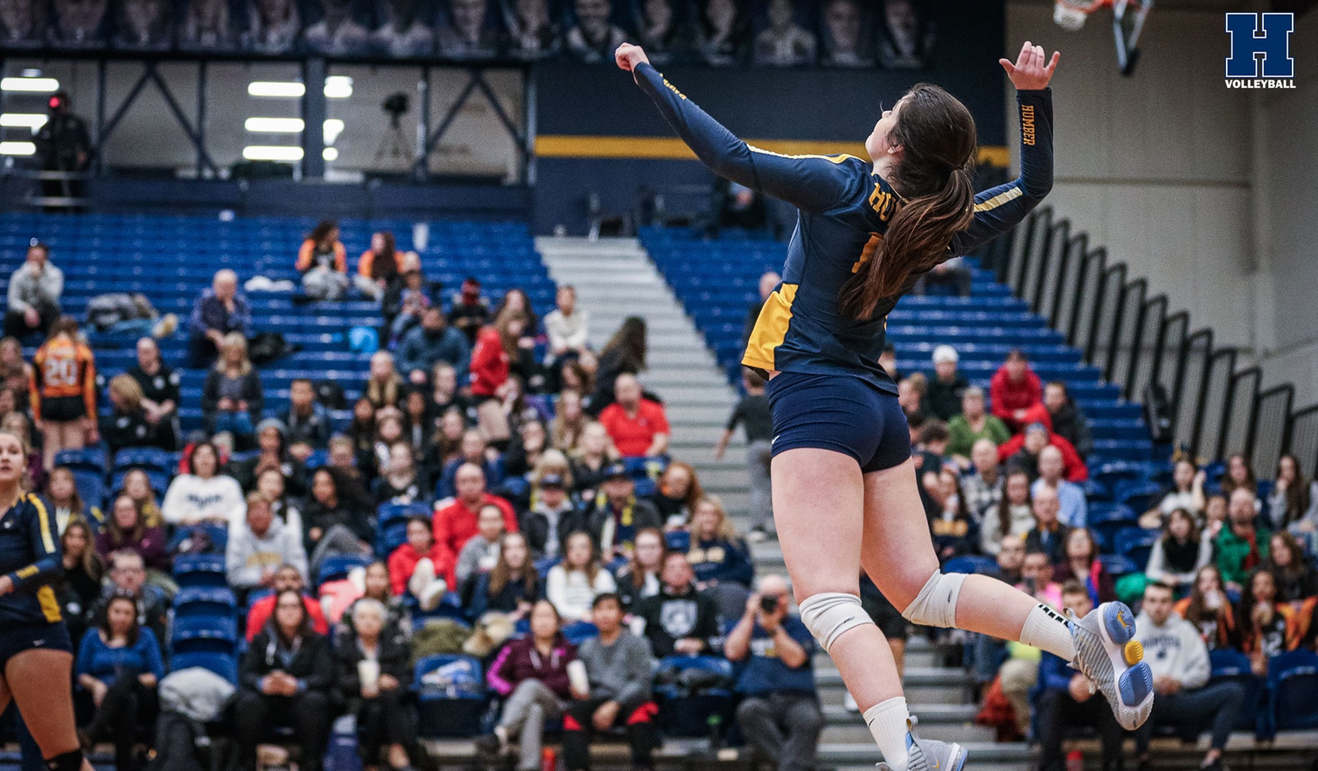 No. 15 Women's Volleyball Concludes Season With Win Over St. Clair