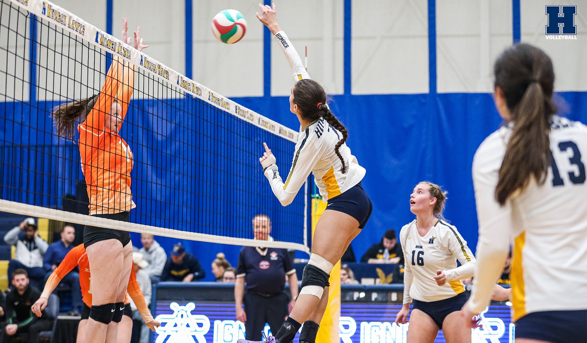 No. 15 Women's Volleyball Sweeps Mohawk at Home
