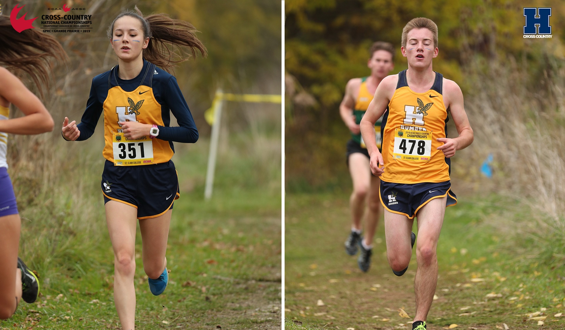 Cross Country Vies for National Title Saturday