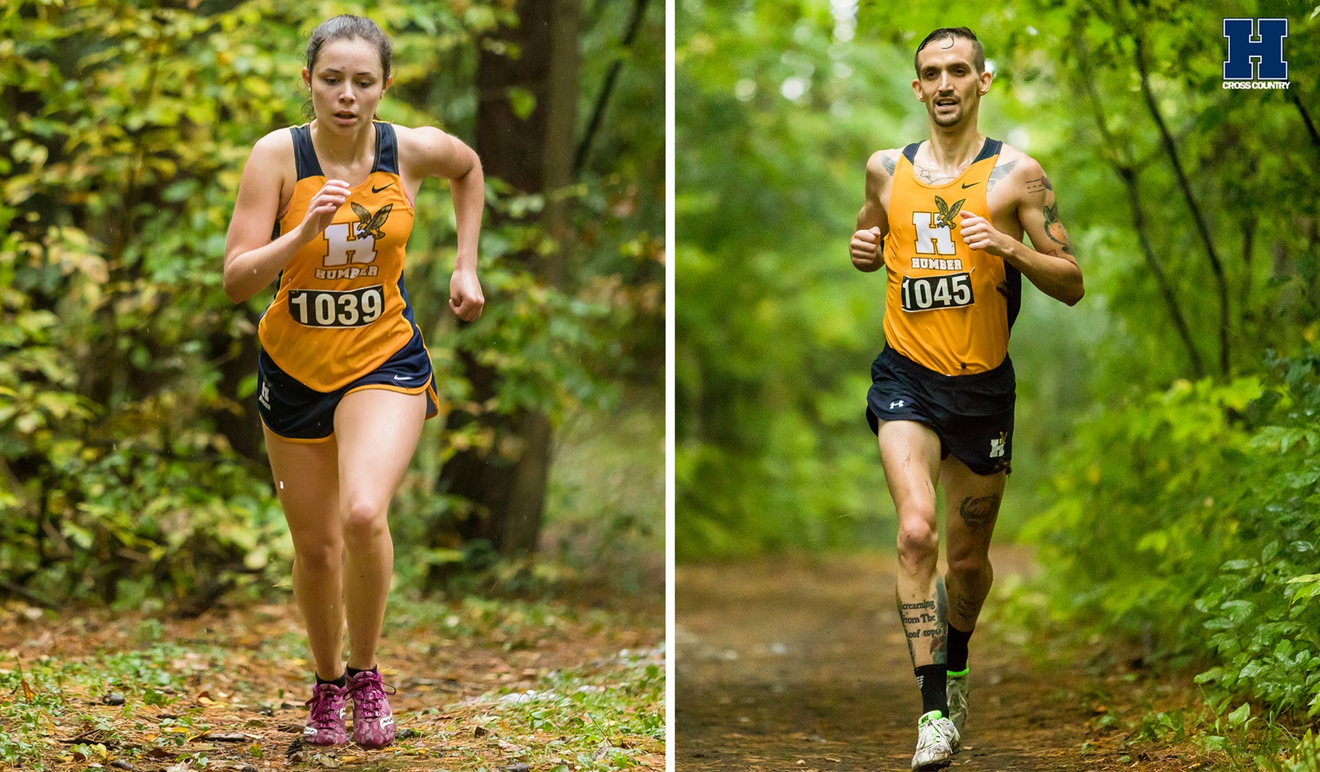 Cross Country Gears Up for Provincials Saturday