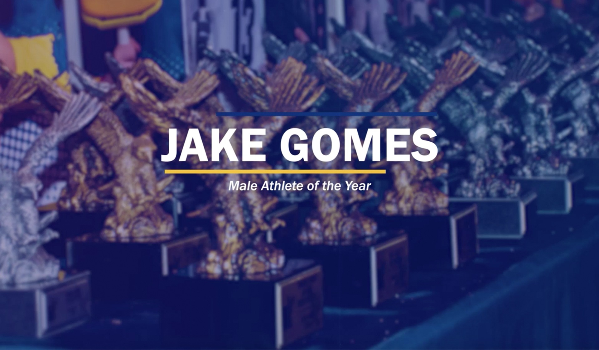 2020 Humber Male Athlete of the Year: Jake Gomes