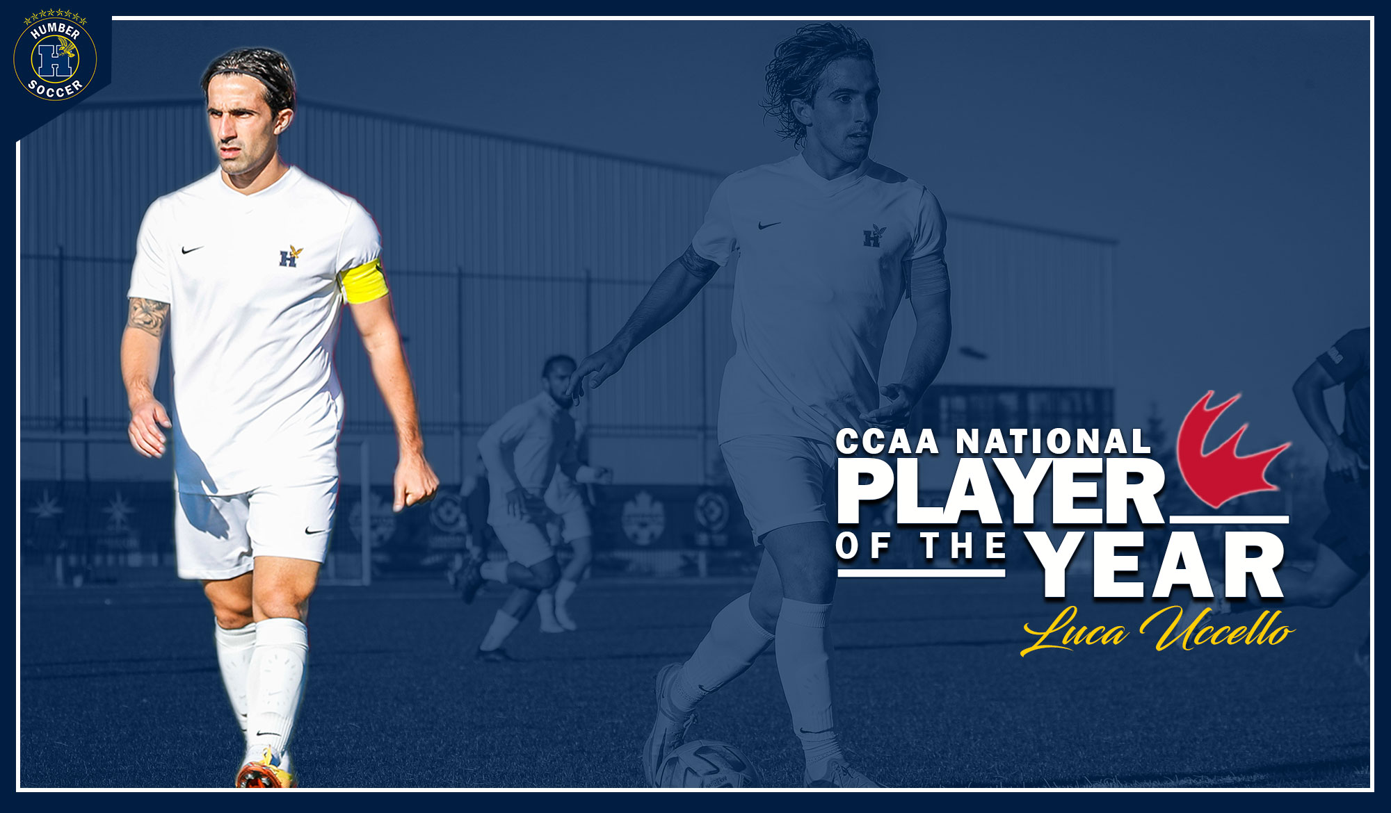 Luca Uccello graphic CCAA national player of the year