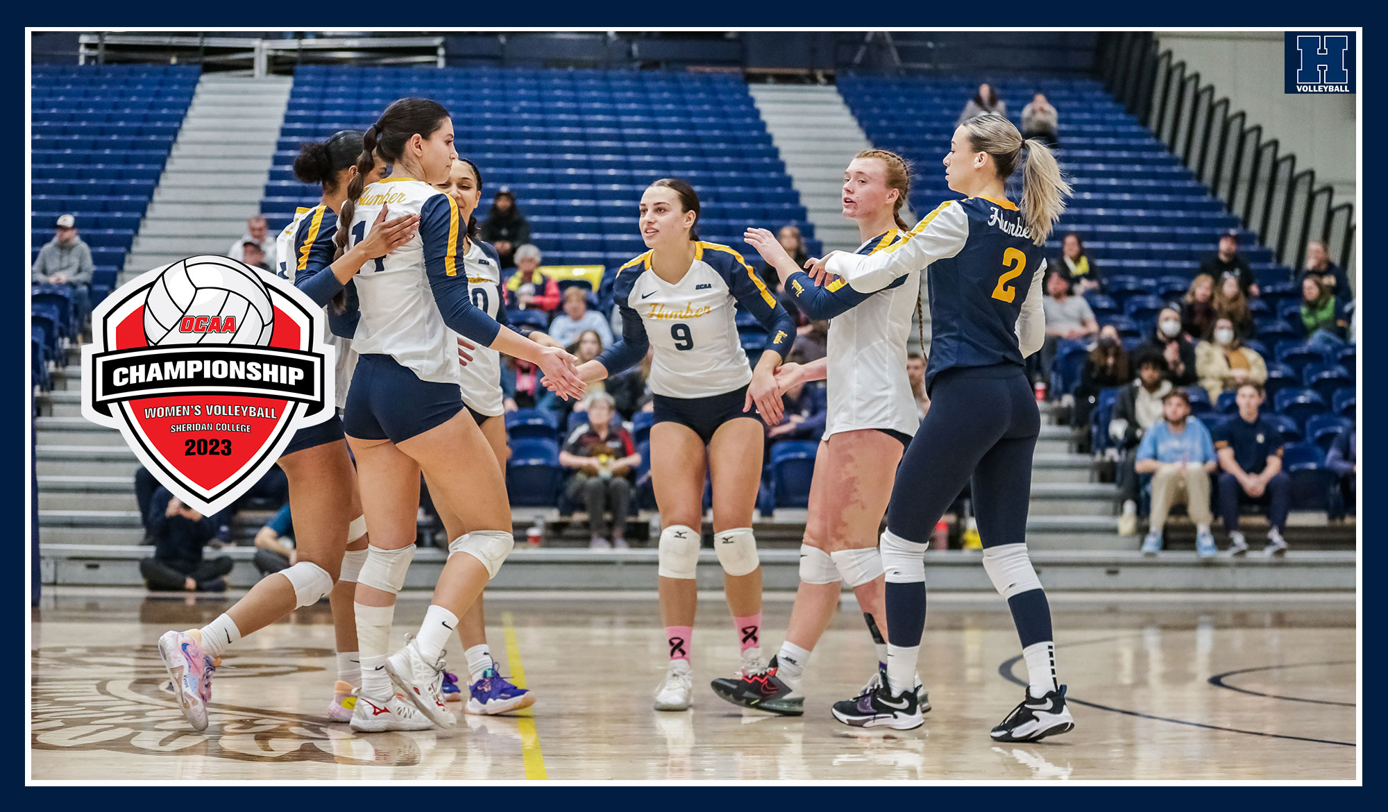 Women's volleyball celebrating a point